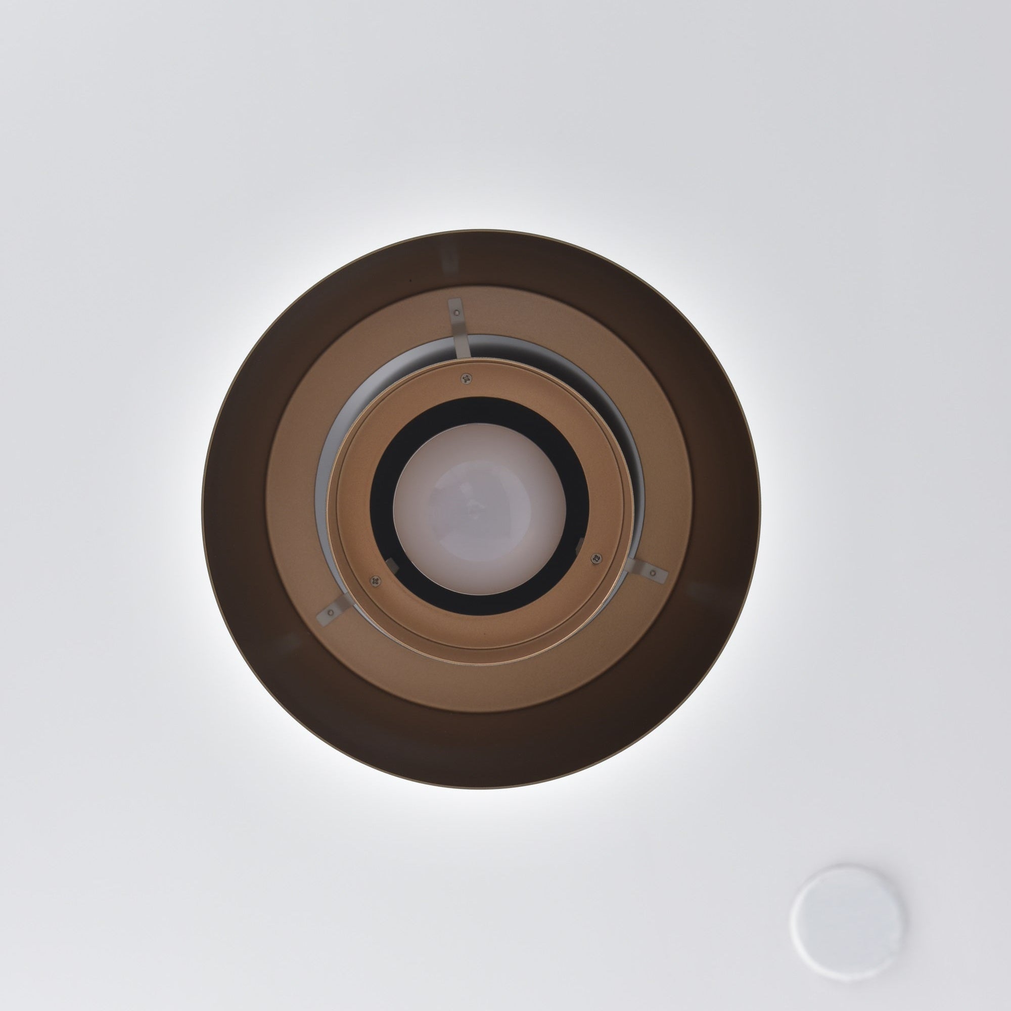 Théodore Orion Pendant Light
