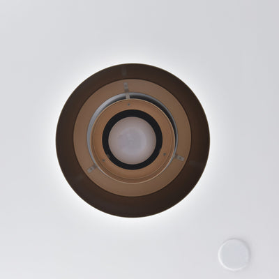 Théodore Orion Pendant Light