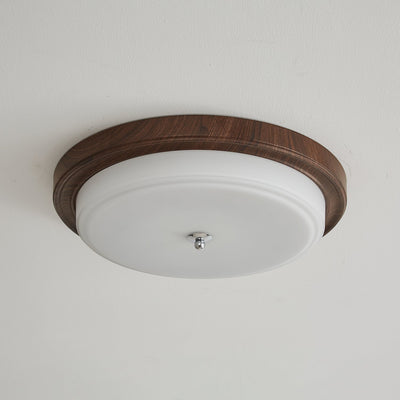 Nyshair Modern Minimalist Glass Ceiling Light