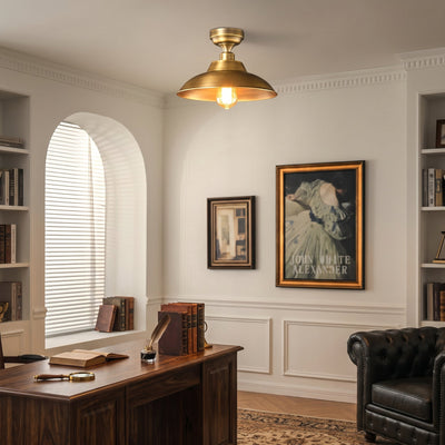 Aveneraine Ceiling Lamp