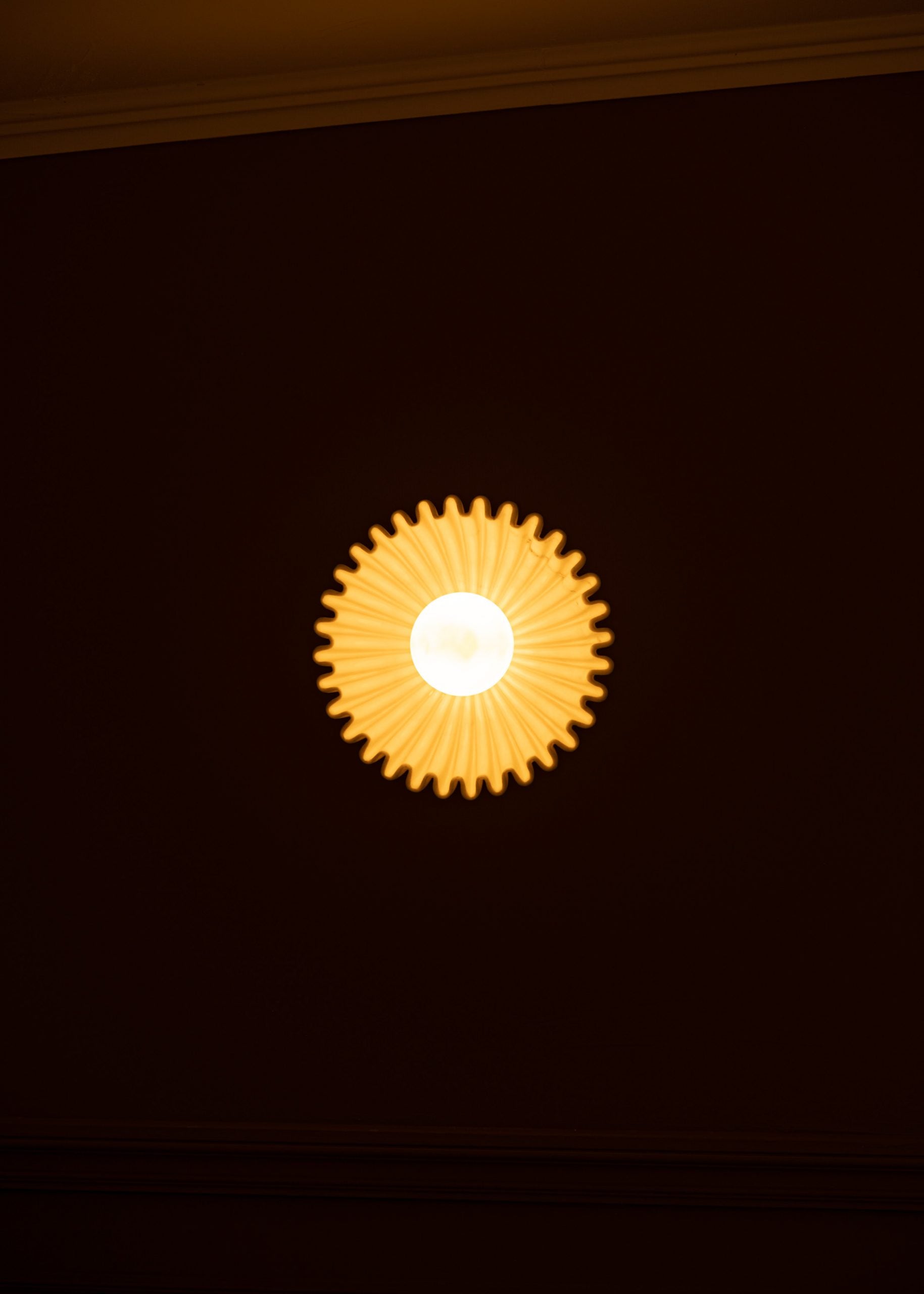 Viraisaya Wall Lamp
