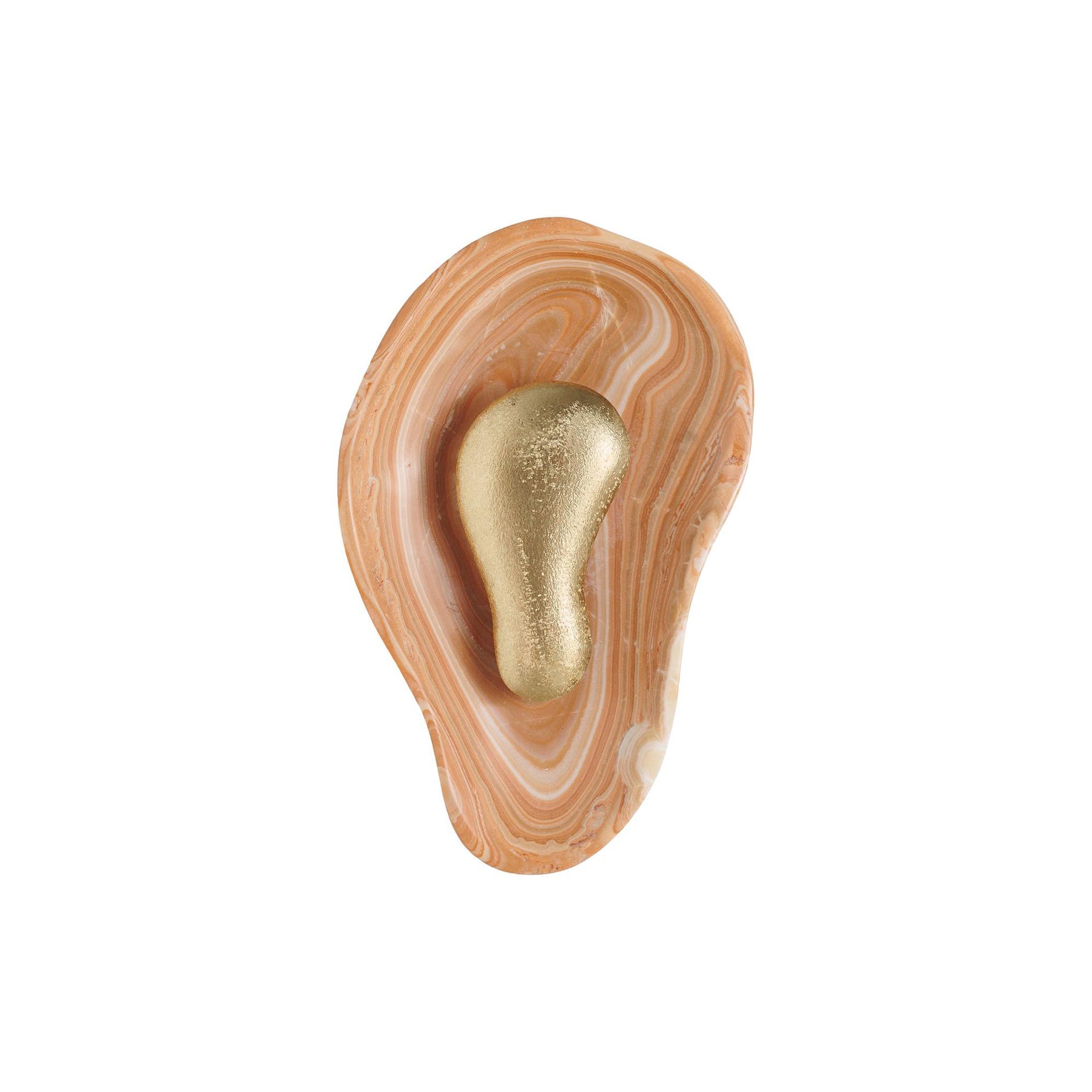 Viraiaria Wall Sconce