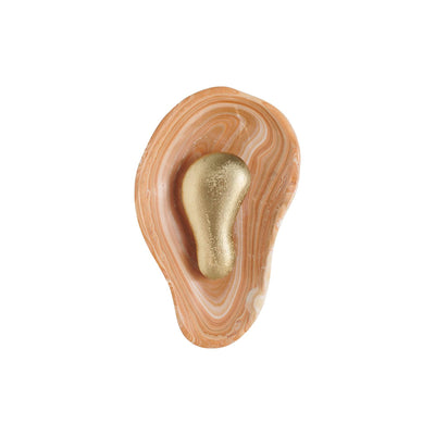 Viraiaria Wall Sconce