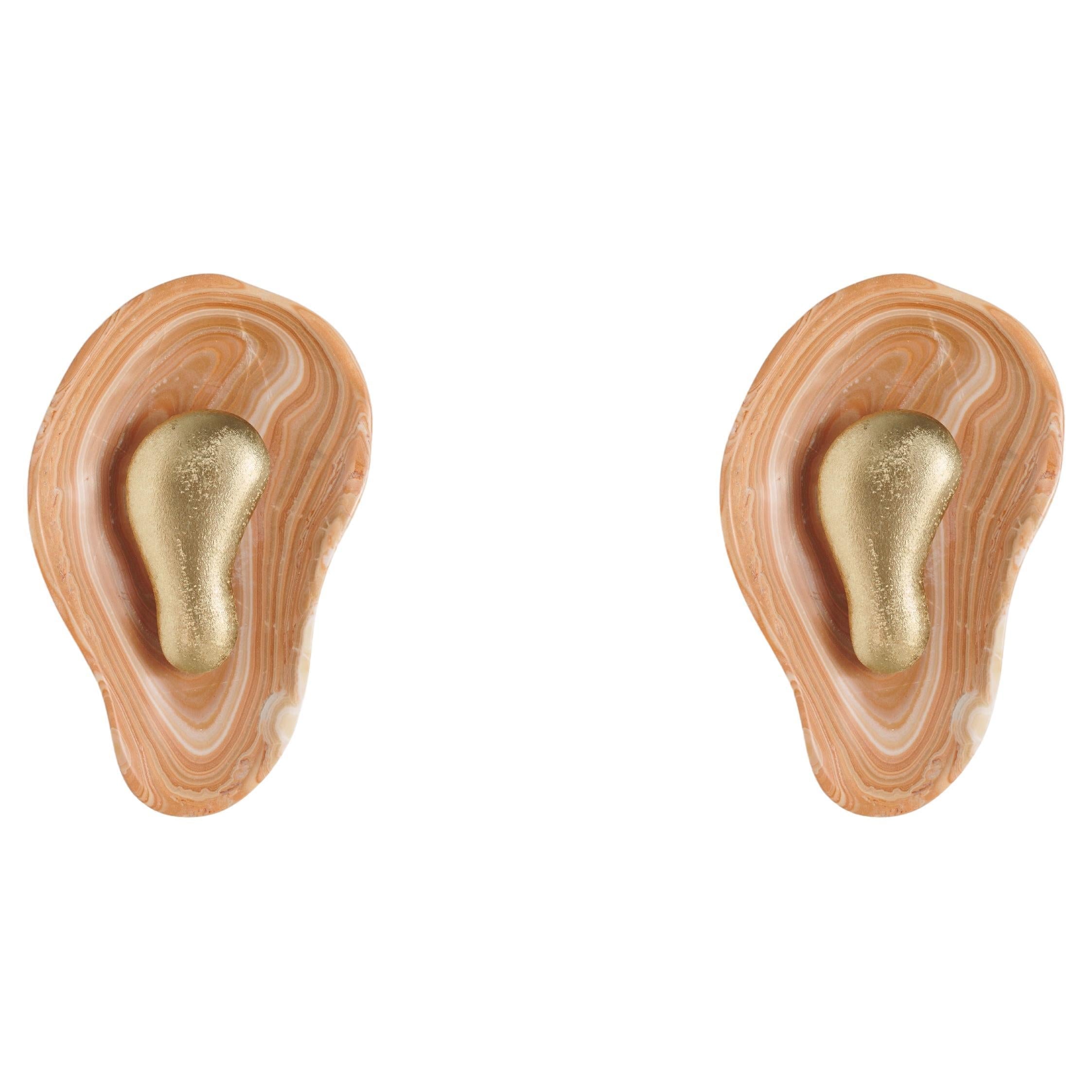 Viraiaria Wall Sconce