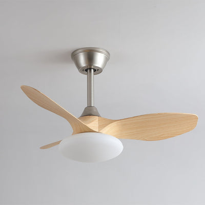 Sylvara Ceiling Fan Light