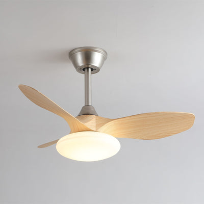 Sylvara Ceiling Fan Light