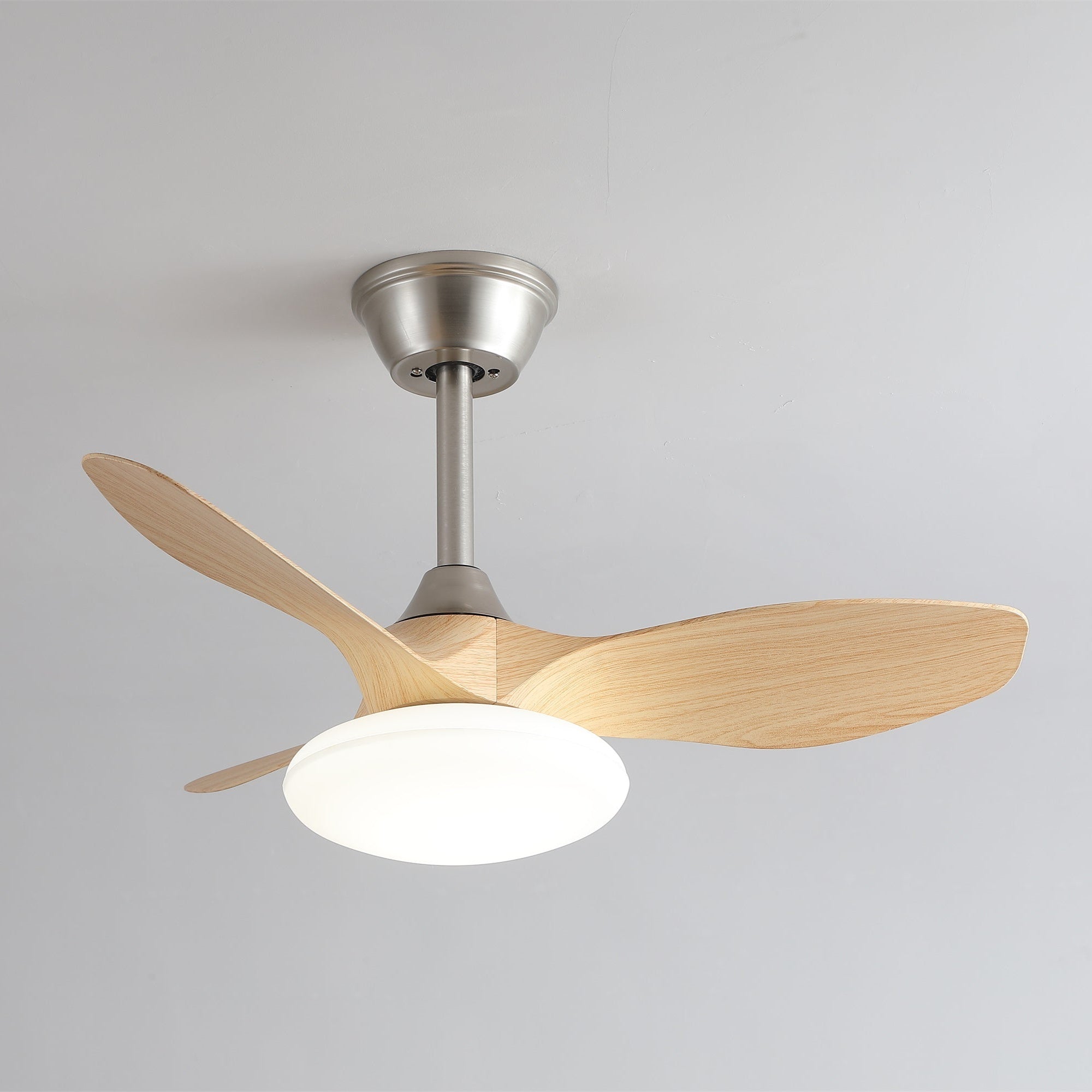 Sylvara Ceiling Fan Light