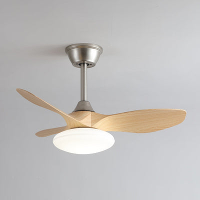 Sylvara Ceiling Fan Light