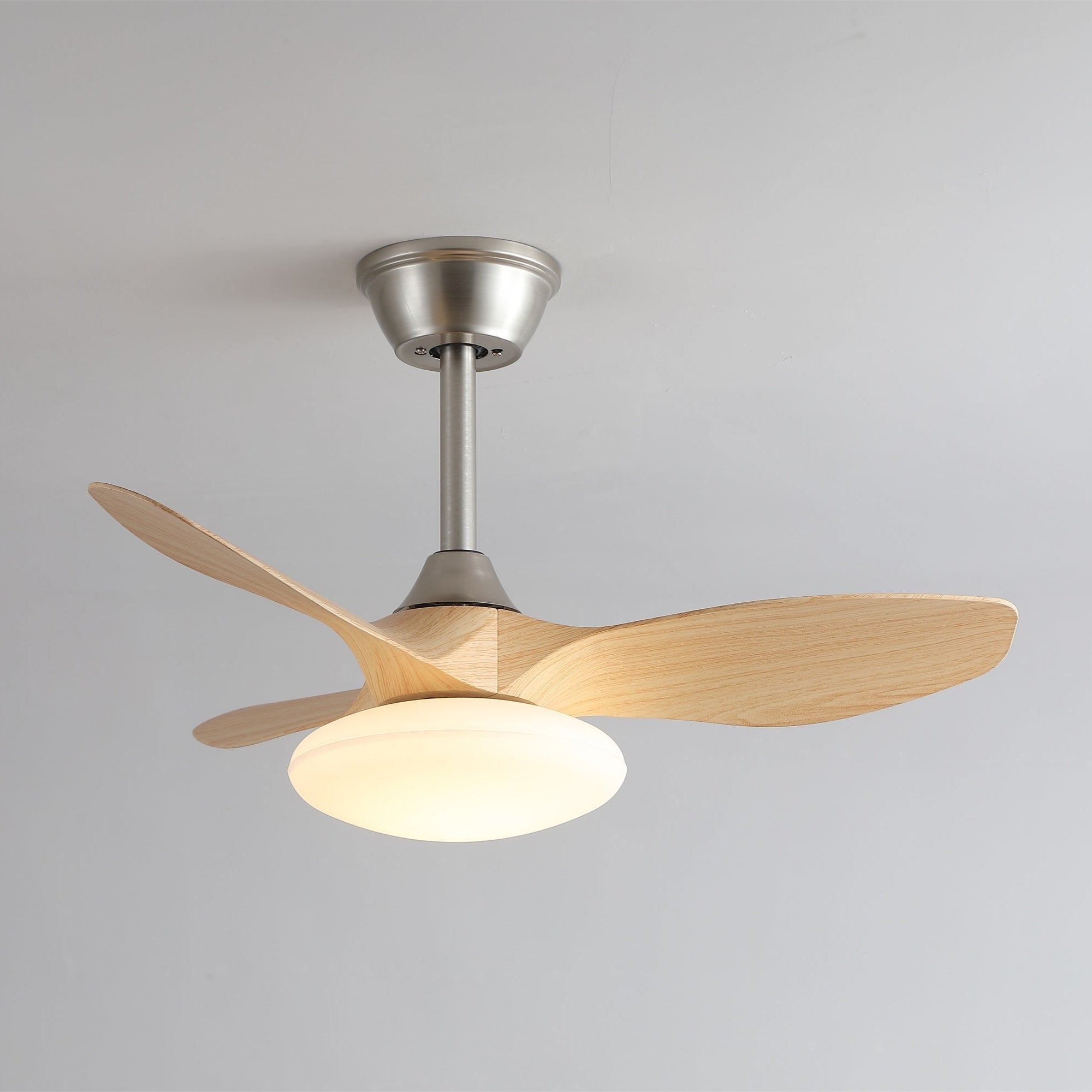 Sylvara Ceiling Fan Light
