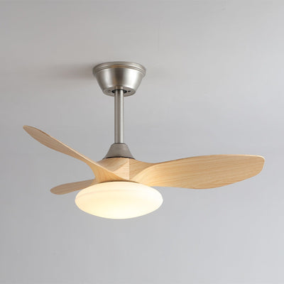 Sylvara Ceiling Fan Light