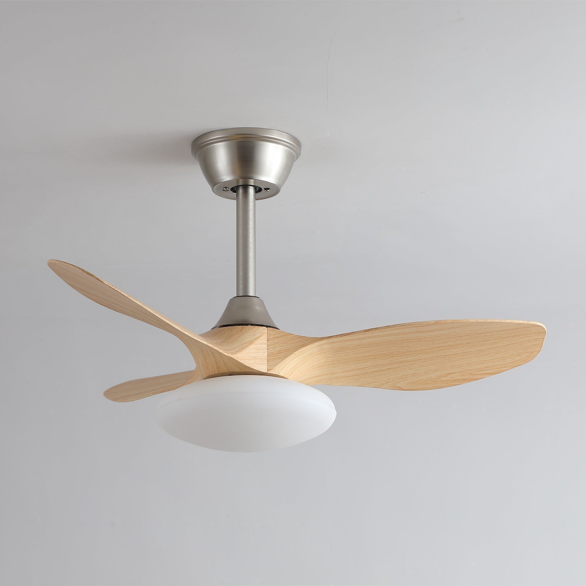 Sylvara Ceiling Fan Light