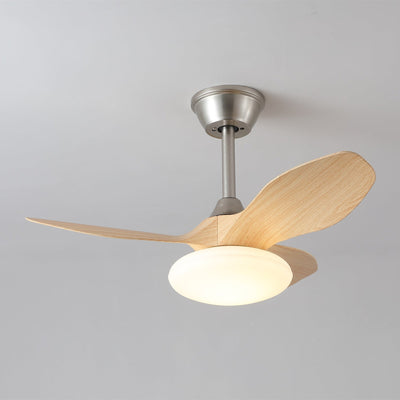 Sylvara Ceiling Fan Light