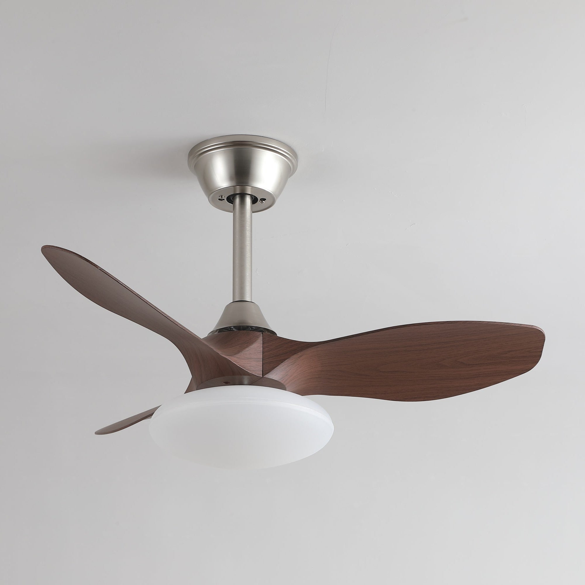 Sylvara Ceiling Fan Light