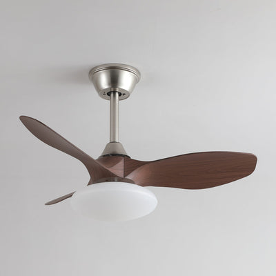 Sylvara Ceiling Fan Light