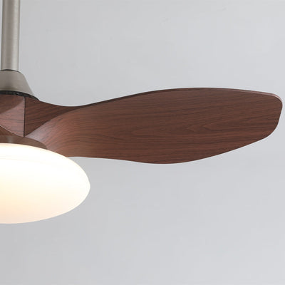 Sylvara Ceiling Fan Light