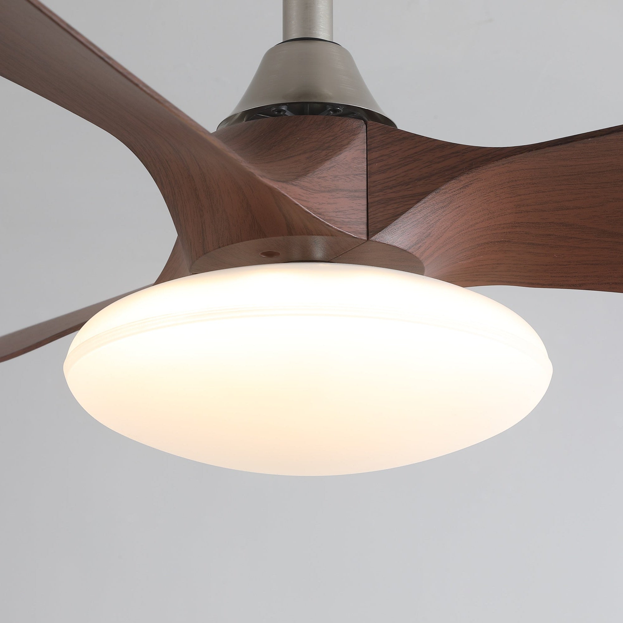 Sylvara Ceiling Fan Light