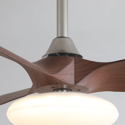 Sylvara Ceiling Fan Light