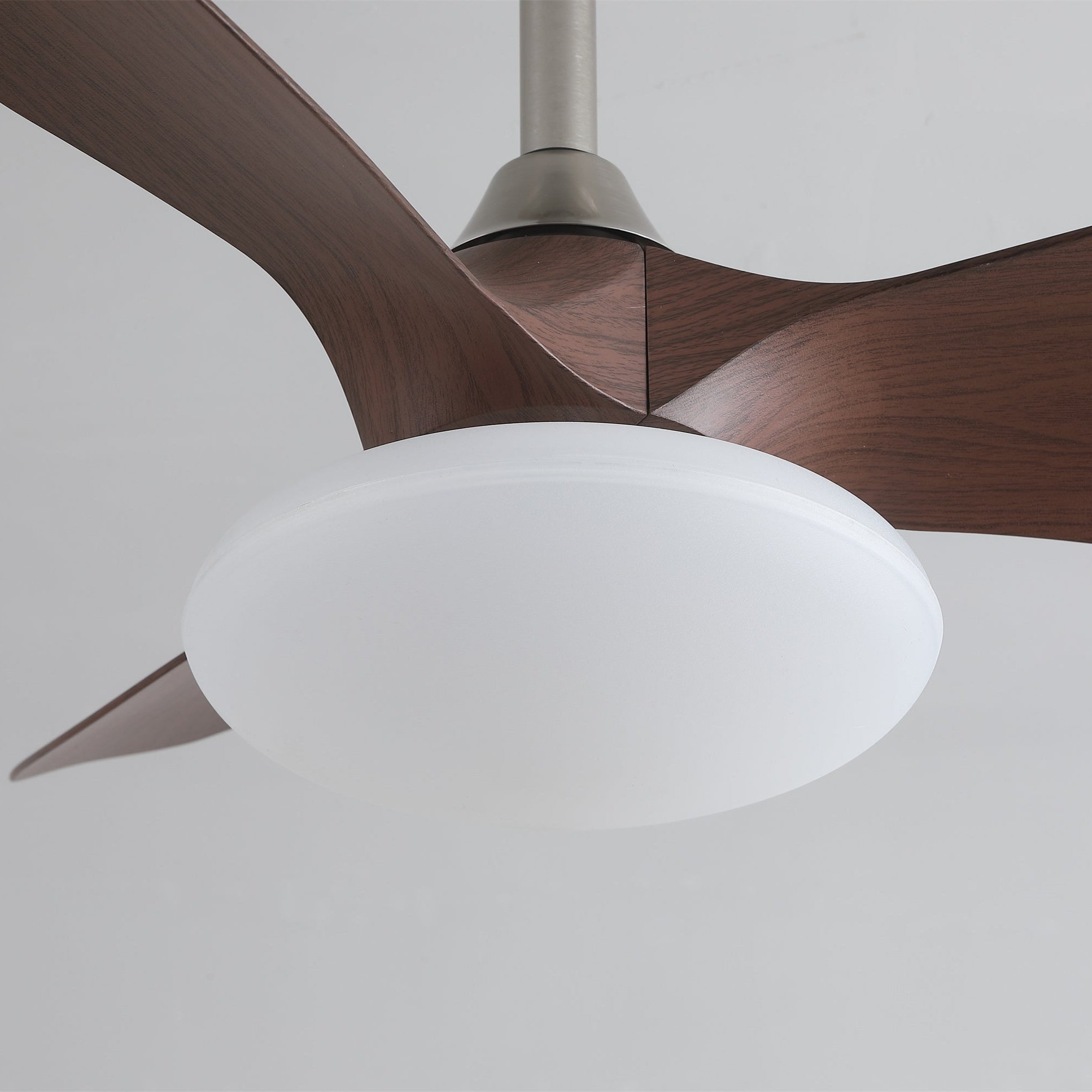 Sylvara Ceiling Fan Light