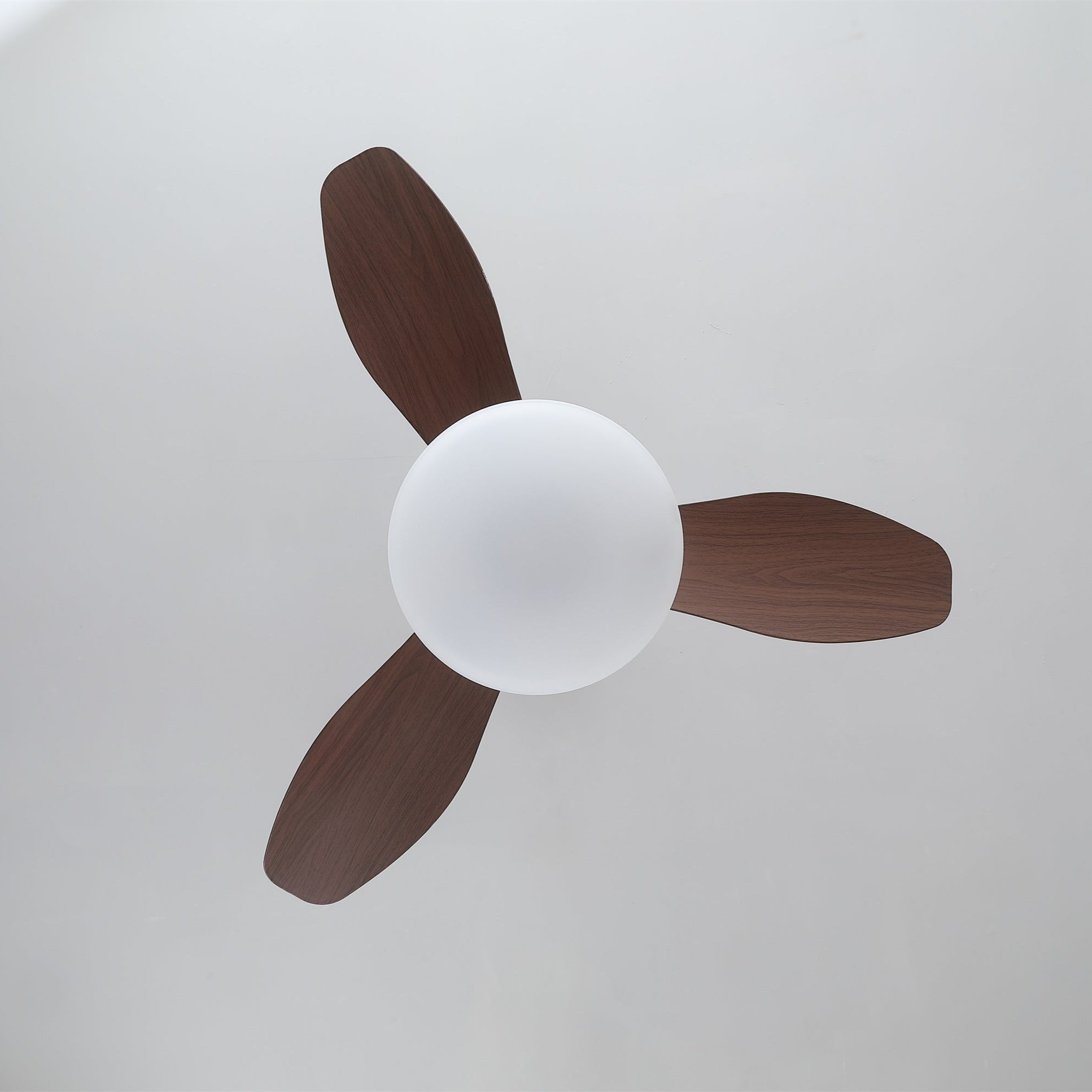 Sylvara Ceiling Fan Light