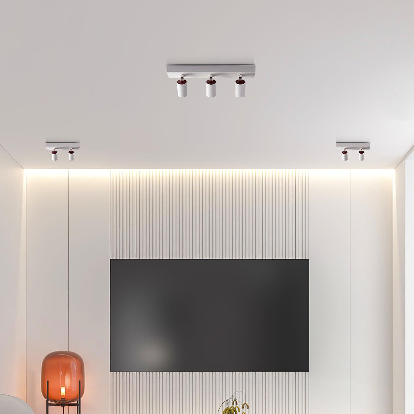 Falis Ceiling Lamp POG Double Linear Adjustable Spots