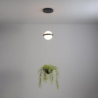 Vacaria Pendant Lamp