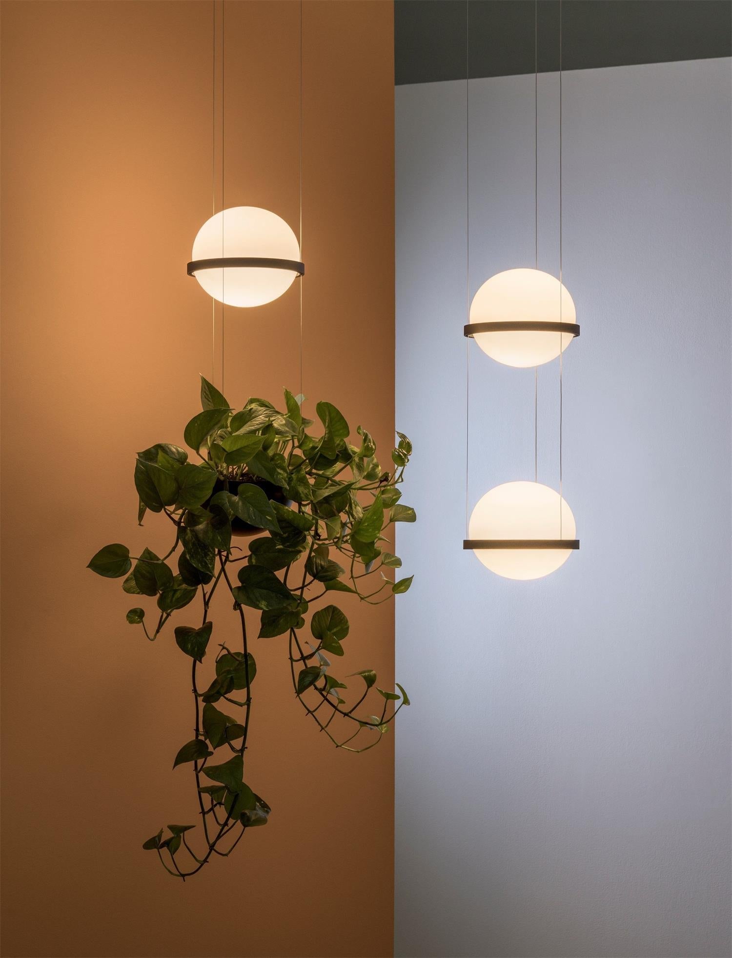 Vacaria Pendant Lamp