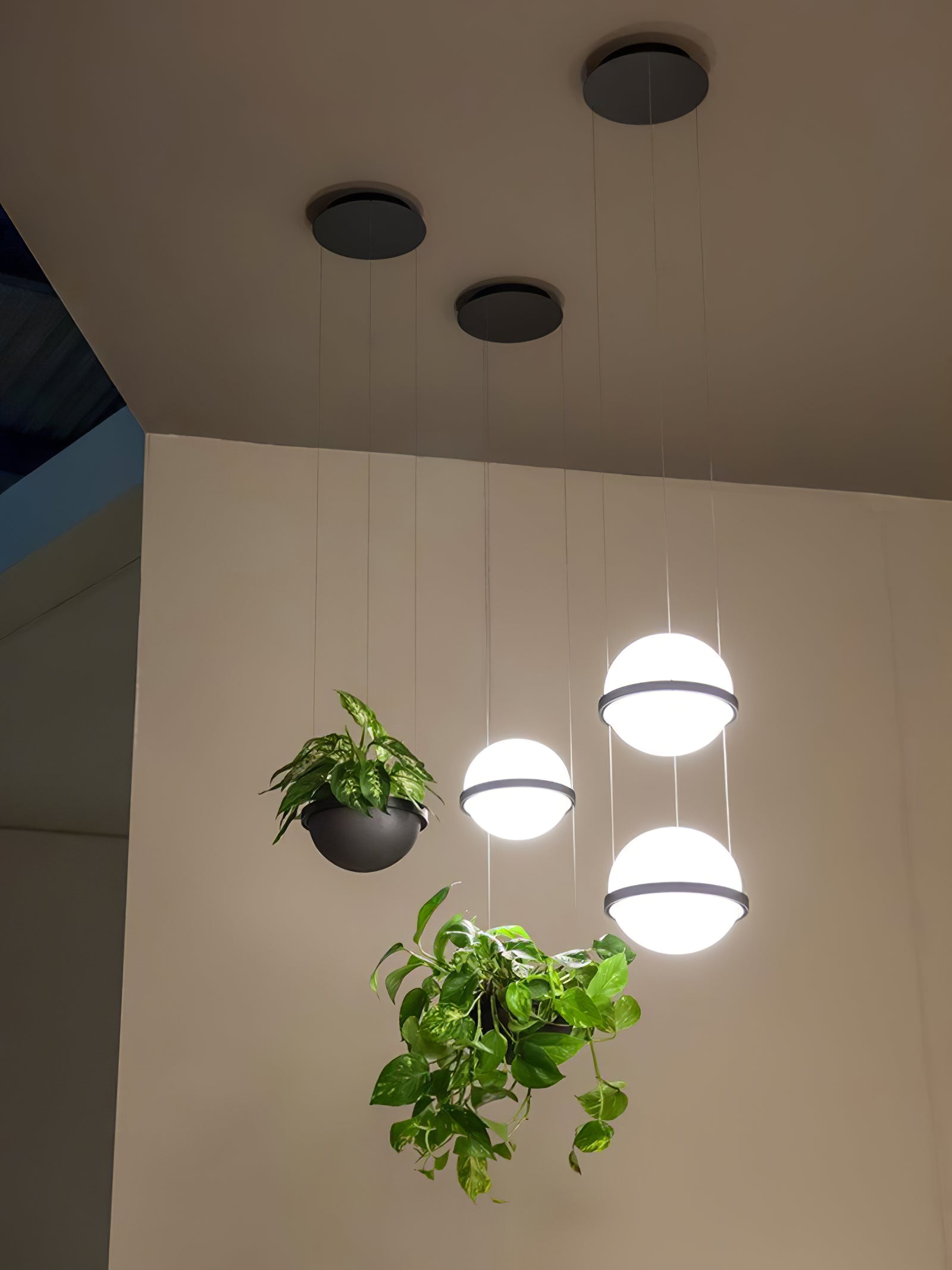 Vacaria Pendant Lamp
