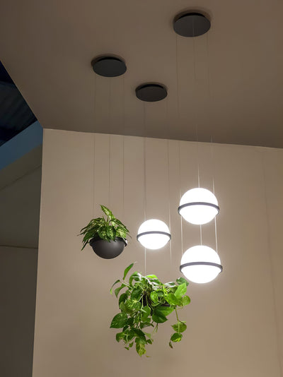 Vacaria Pendant Lamp