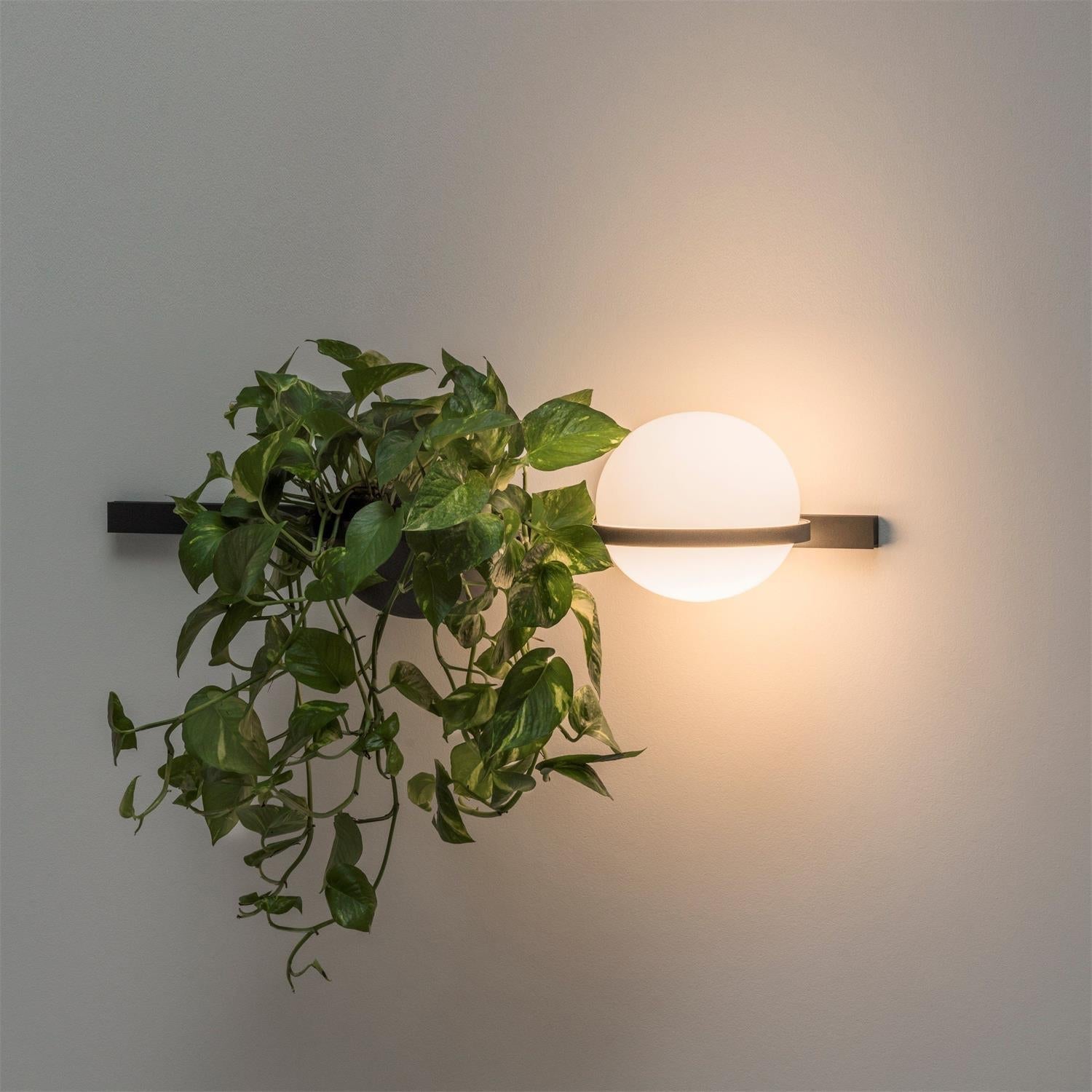 Olthaarae Plastic Wall Lamp