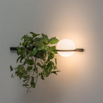Olthaarae Plastic Wall Lamp