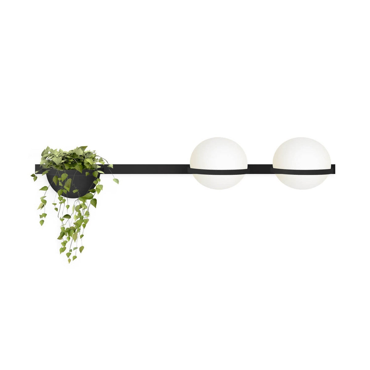 Suren Indoor  Outdoor Wall Light