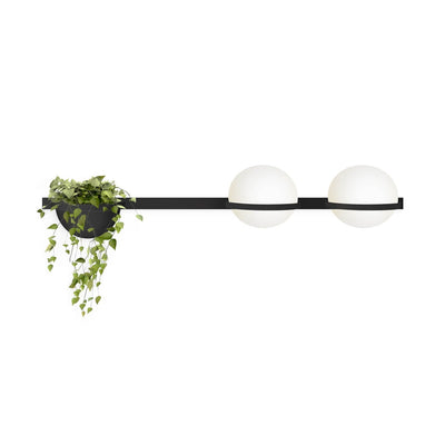Suren Indoor  Outdoor Wall Light