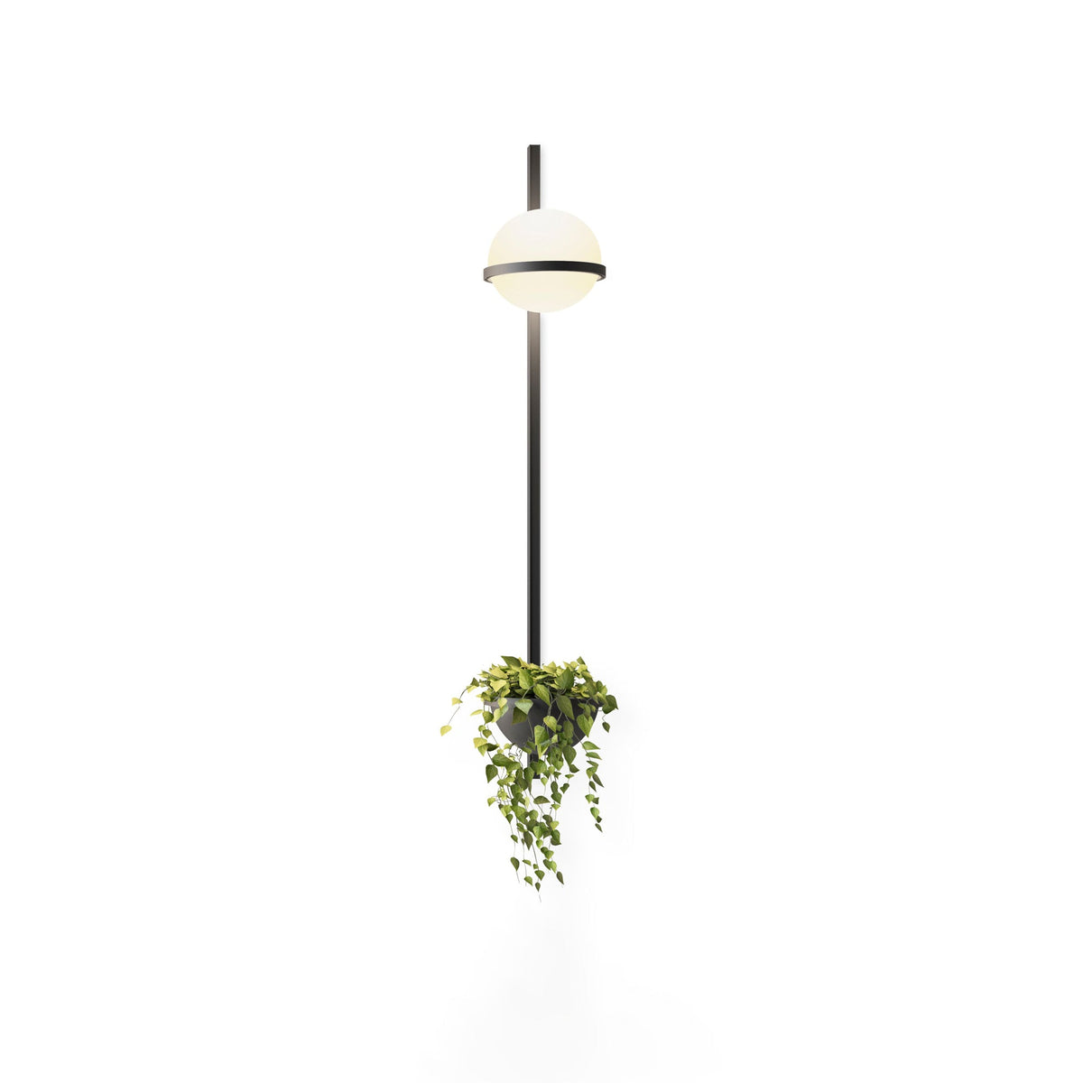 Suren Indoor  Outdoor Wall Light
