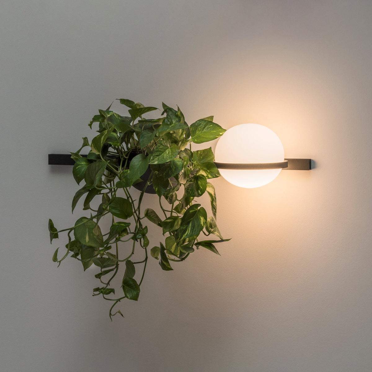 Suren Indoor  Outdoor Wall Light