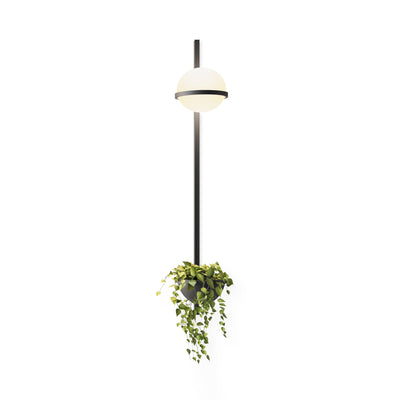 Suren Indoor  Outdoor Wall Light