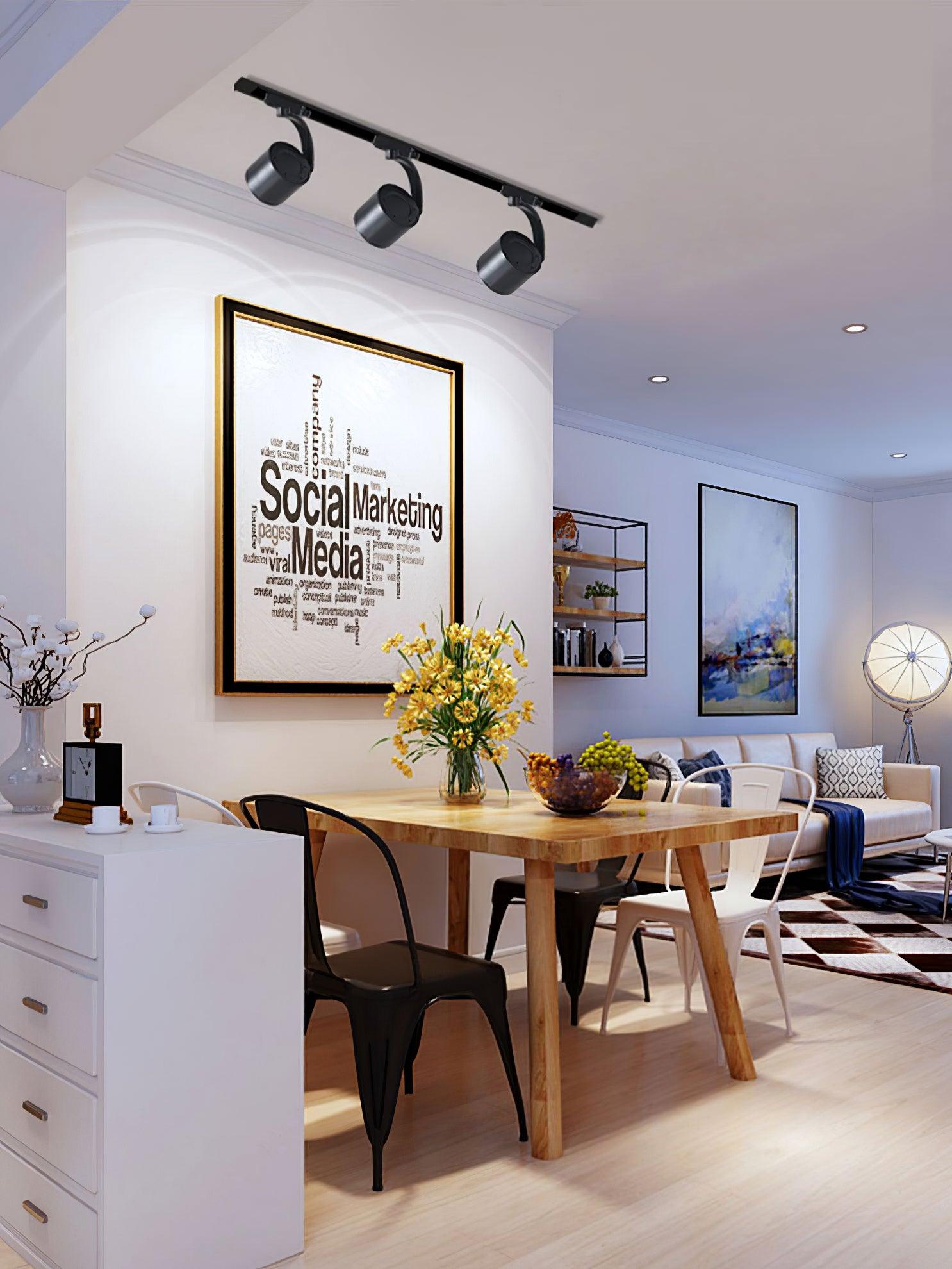 Focus Sleek Aluminum Ceiling Light