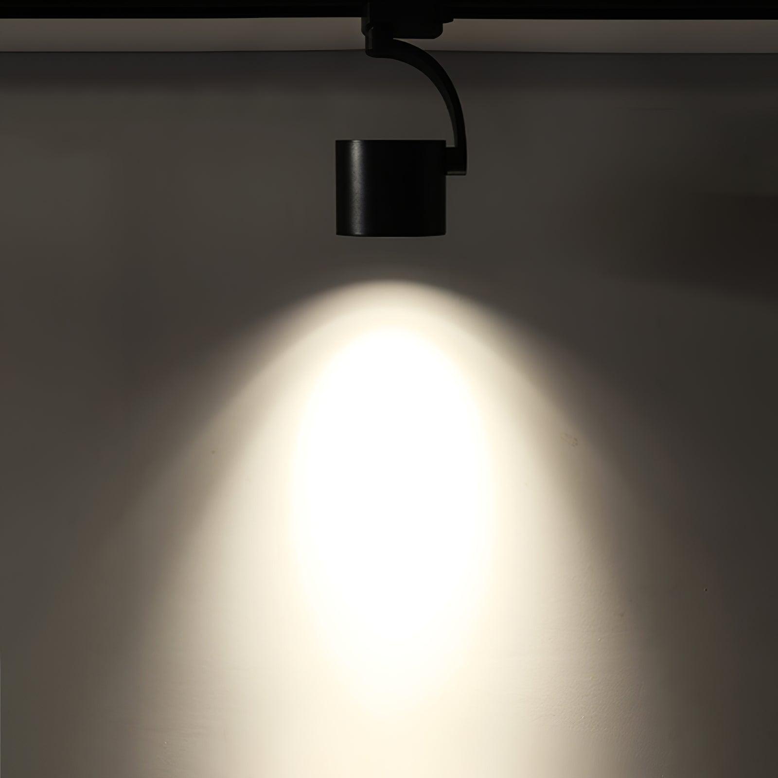 Focus Sleek Aluminum Ceiling Light