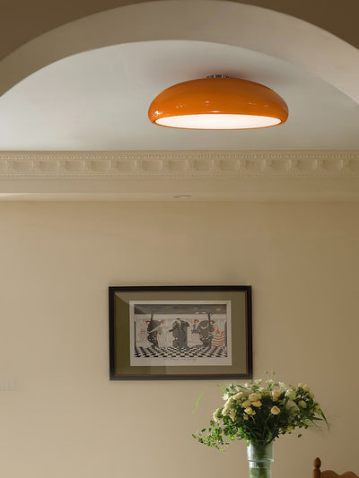 Tevenor Modern Minimalist Ceiling Lamp