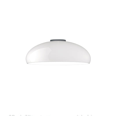 Tevenor Modern Minimalist Ceiling Lamp