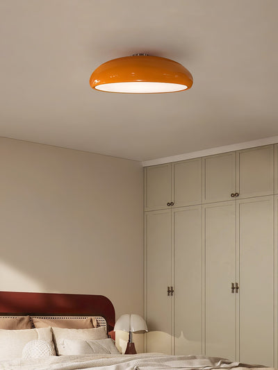 Tevenor Modern Minimalist Ceiling Lamp