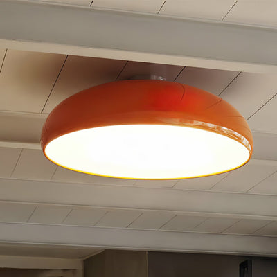 Tevenor Modern Minimalist Ceiling Lamp
