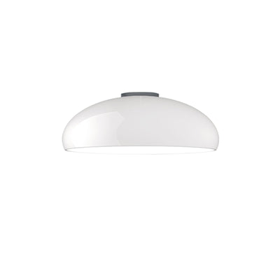 Tevenor Modern Minimalist Ceiling Lamp