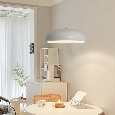 Renaraine Minimalist Pendant Lamp