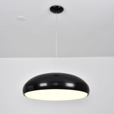 Renaraine Minimalist Pendant Lamp