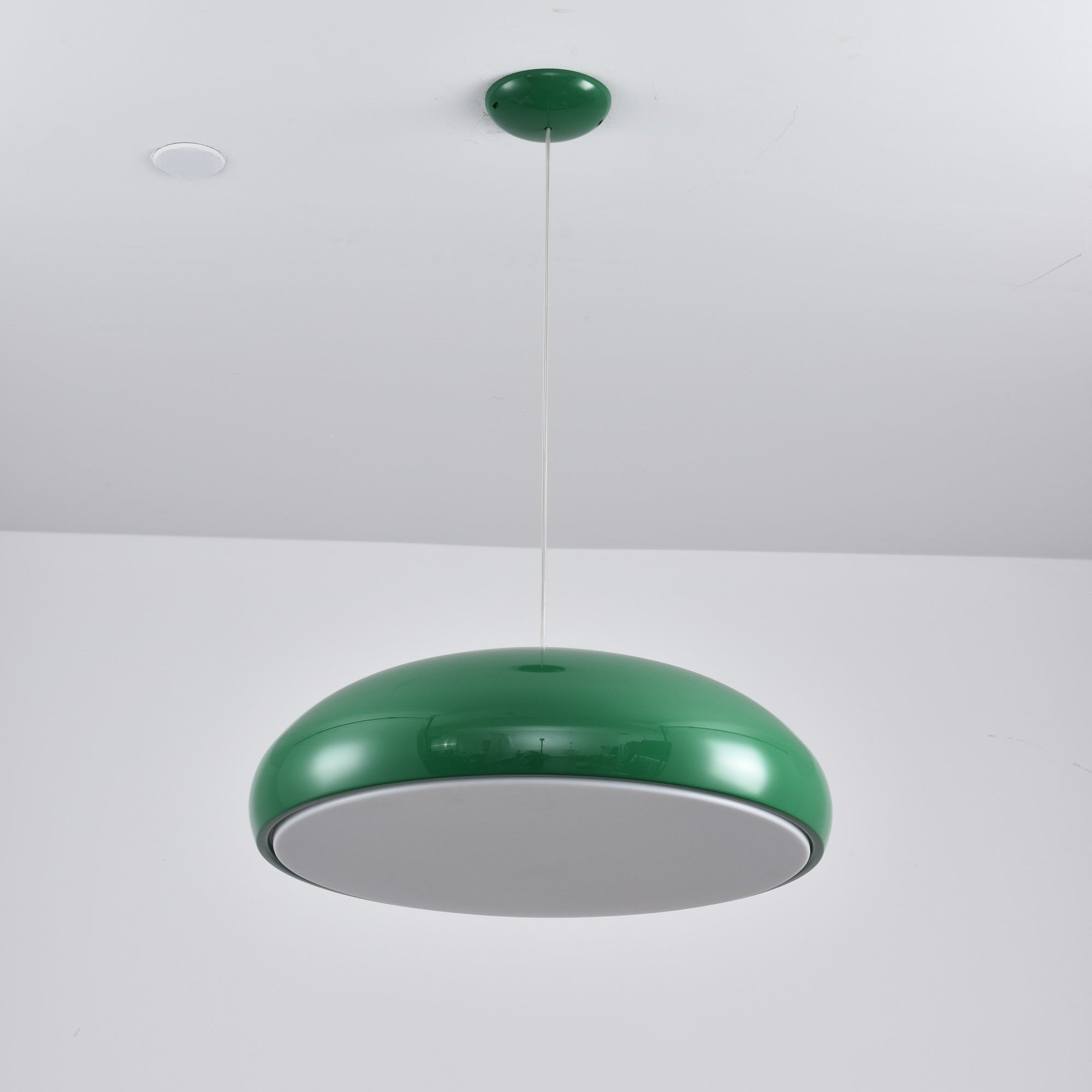 Renaraine Minimalist Pendant Lamp