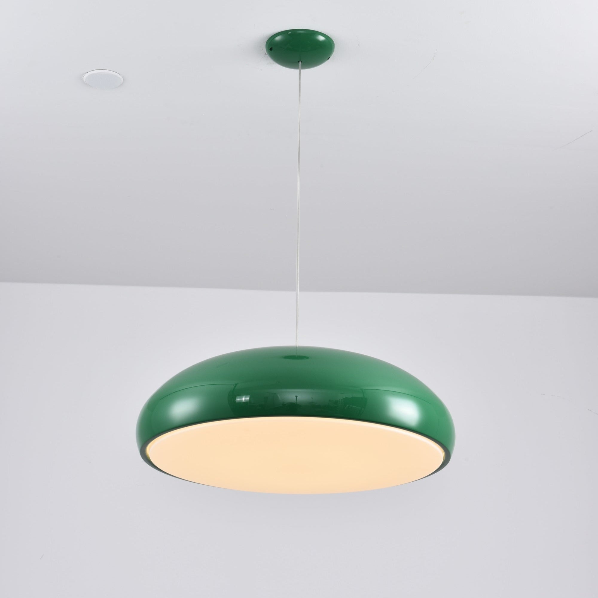 Renaraine Minimalist Pendant Lamp