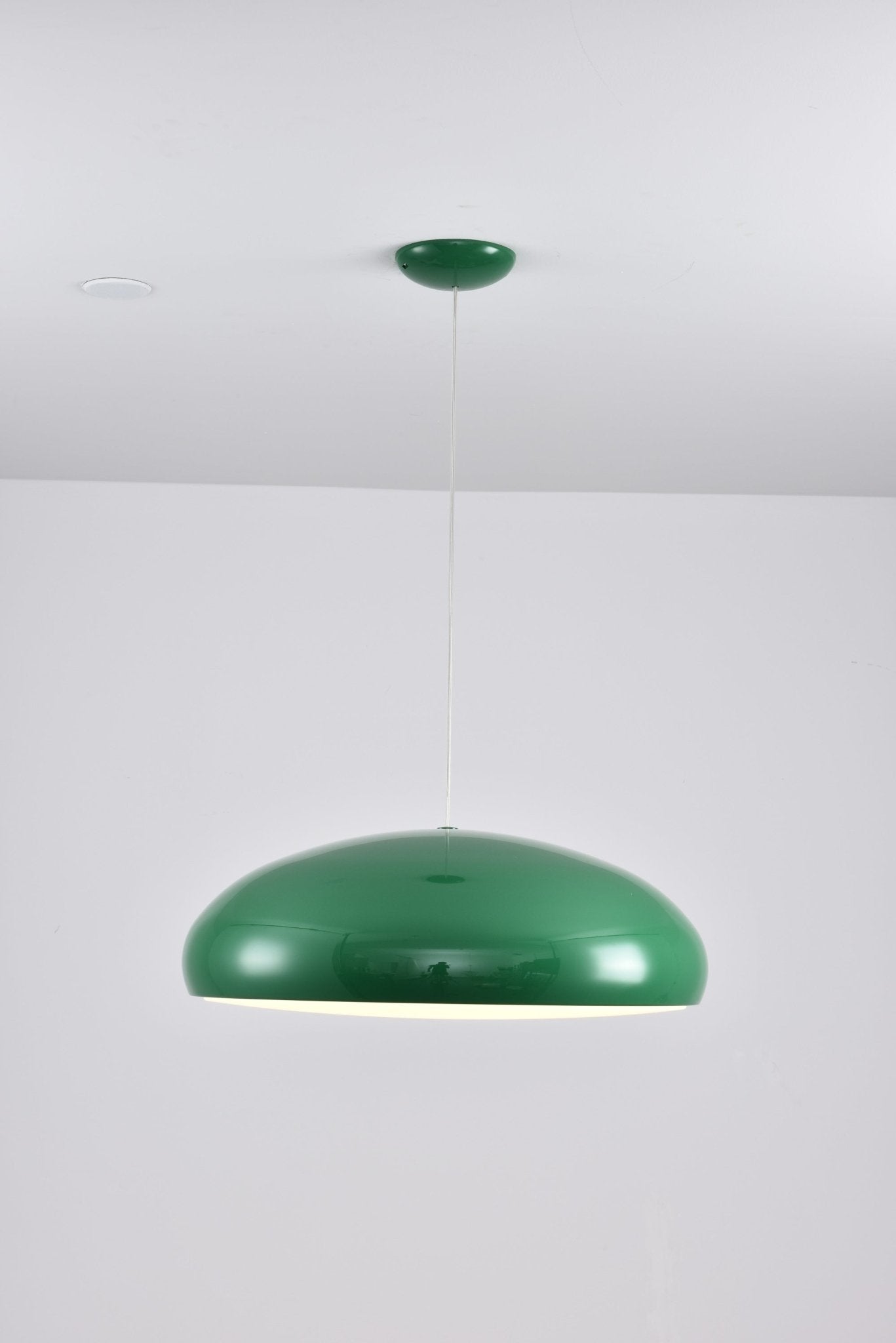 Renaraine Minimalist Pendant Lamp