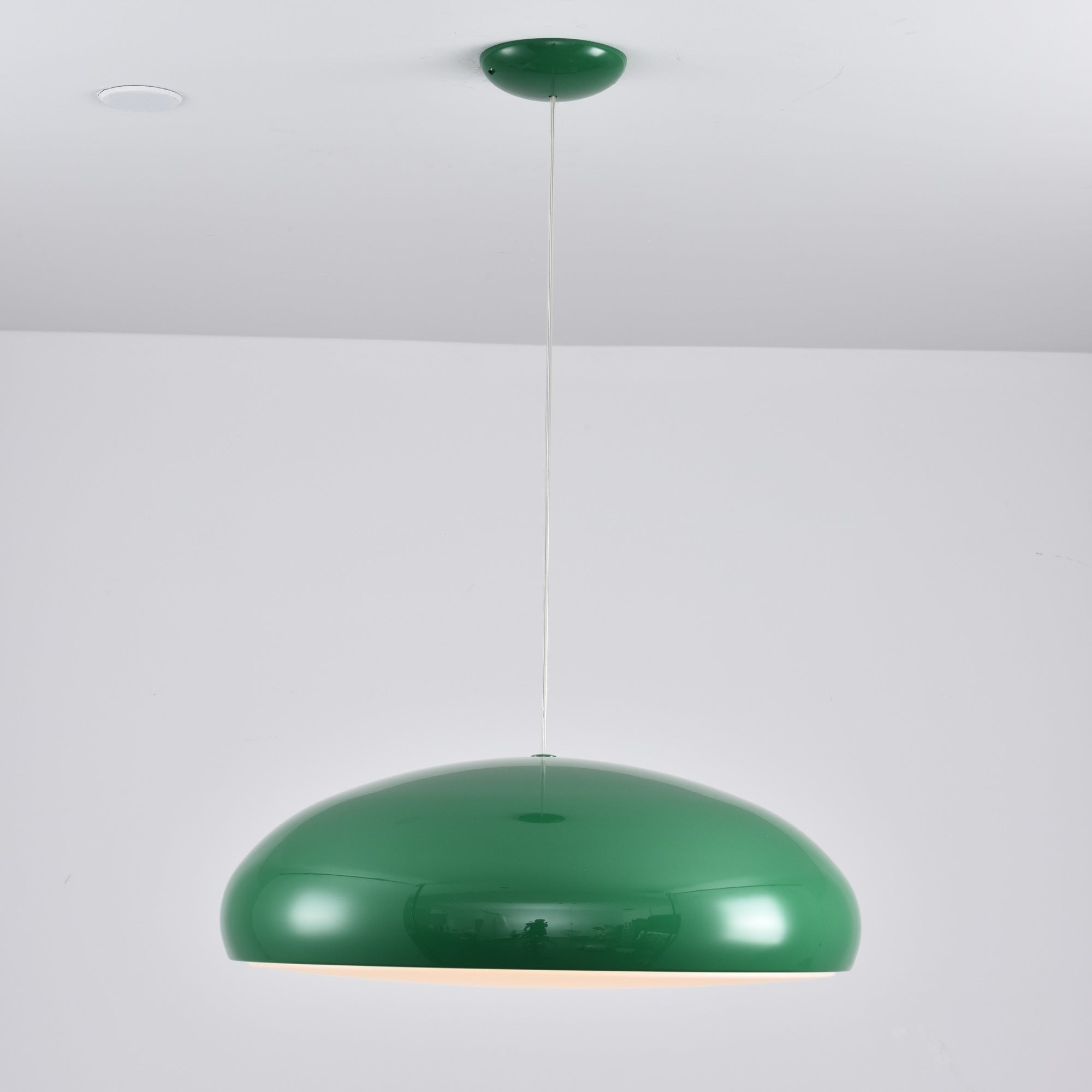 Renaraine Minimalist Pendant Lamp