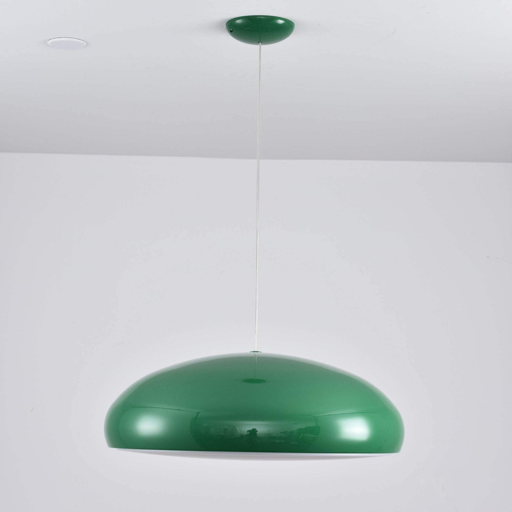 Renaraine Minimalist Pendant Lamp