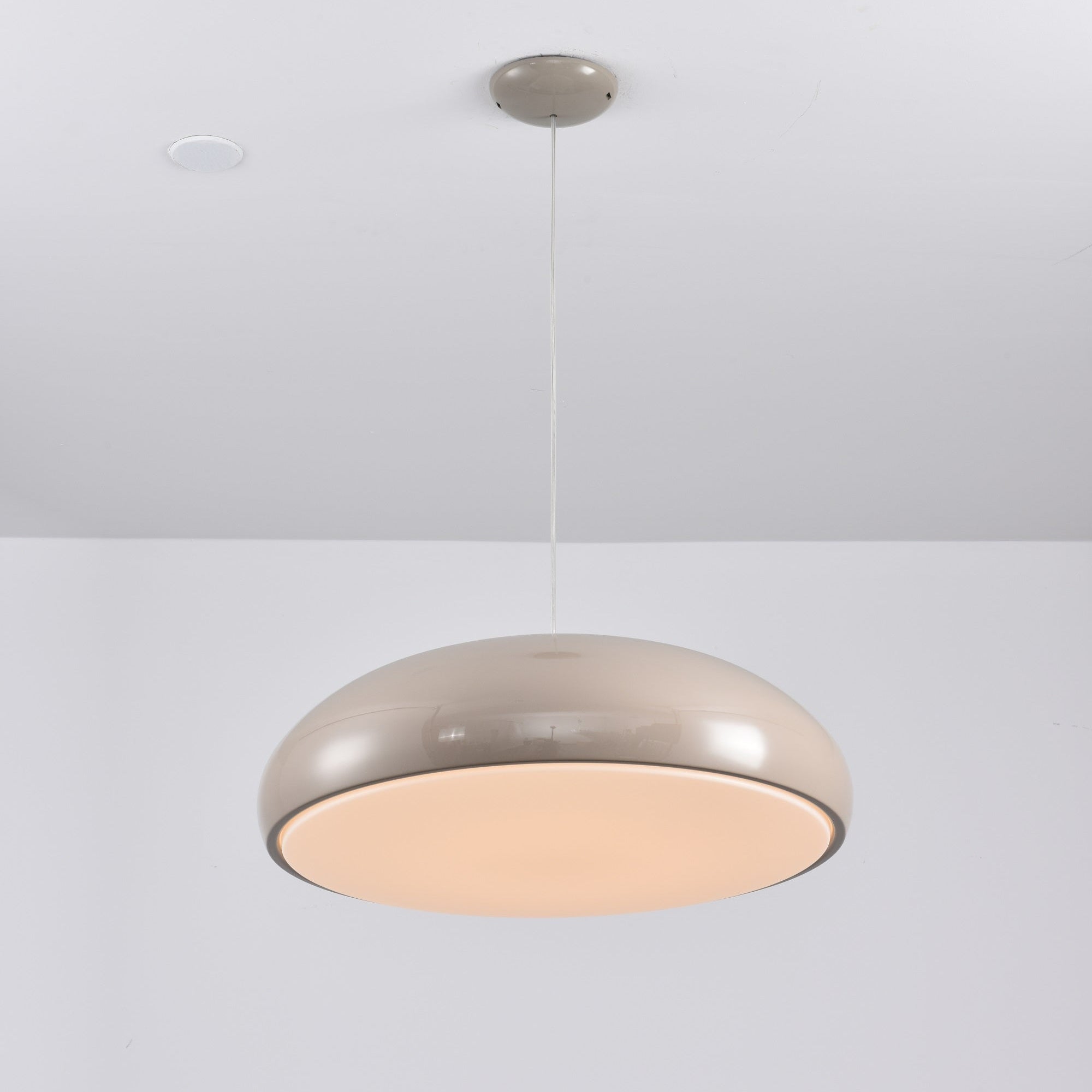 Renaraine Minimalist Pendant Lamp